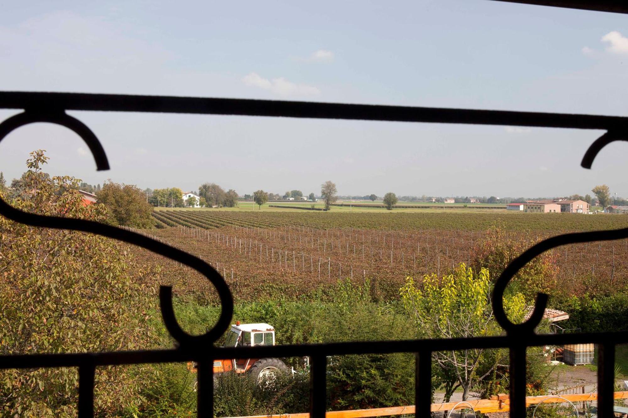 Agriturismo Il Bove Reggio Emilia Eksteriør billede